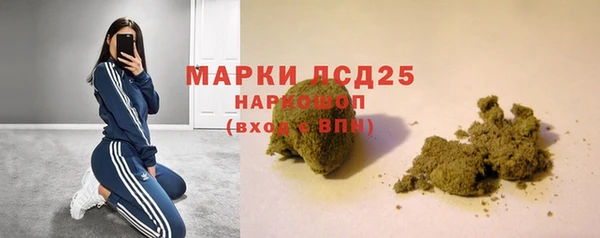 сатива Елизово
