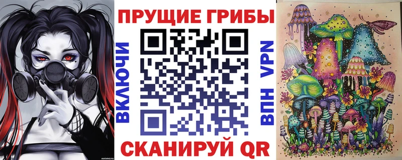наркошоп  Первомайск  Галлюциногенные грибы Cubensis 